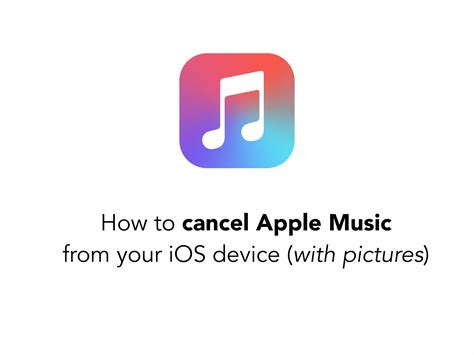 how to cancel apple music on iphone: should we consider alternative streaming services?