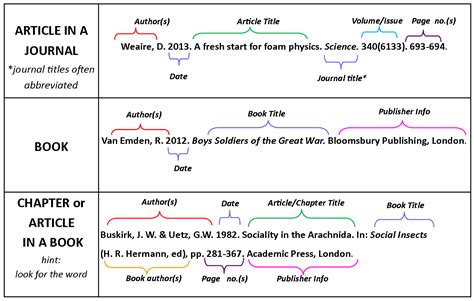 Where do citations go in an essay, and why do they sometimes feel like misplaced puzzle pieces?